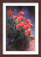 Framed Vibrant Poppies