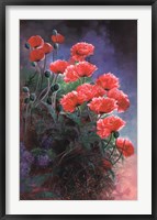 Framed Vibrant Poppies