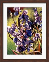 Framed Iris Garden I