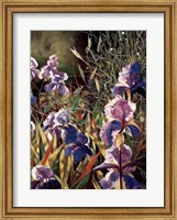 Framed Iris Garden II