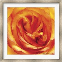 Framed Painterly Flower I