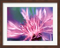 Framed Painterly Flower VIII