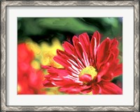 Framed Painterly Flower VI