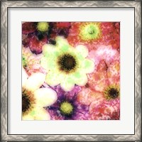 Framed Floral Reef I