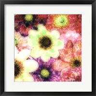 Framed Floral Reef I