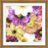 Framed Floral Reef II