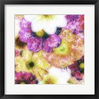 Framed Floral Reef II