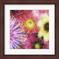 Framed Floral Reef III