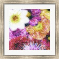 Framed Floral Reef IV