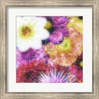 Framed Floral Reef IV