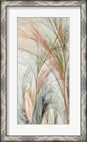 Framed Fractal Grass II