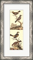 Framed Crackled Edwards Bird Panel II