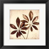 Framed Cassava Leaves
