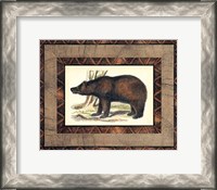 Framed Rustic Bear