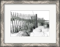 Framed Beach Scape III