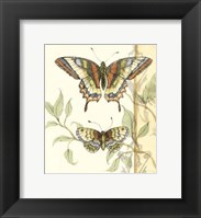 Framed Small Tandem Butterflies II