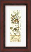 Framed Small Tandem Butterflies IV