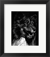 Framed Canine Scratchboard X