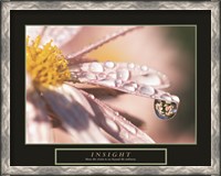 Framed Insight - Dewdrop