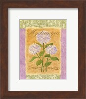 Framed Sweet Hydrangea