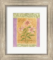 Framed Sweet Lily