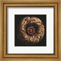 Framed Small Classic Rosette V