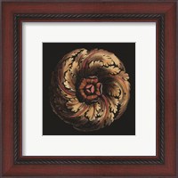 Framed Small Classic Rosette V