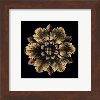 Framed Small Classic Rosette VI