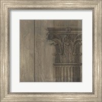 Framed Decorative Elegance VIII