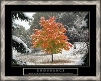 Framed Endurance - Fall Tree