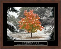 Framed Endurance - Fall Tree