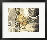 Bird Song II Framed Print