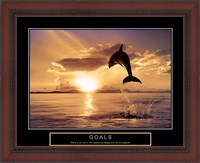Framed Goals - Dolphins