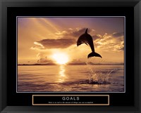 Framed Goals - Dolphins