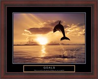 Framed Goals - Dolphins