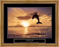 Framed Goals - Dolphins