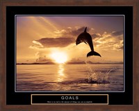 Framed Goals - Dolphins