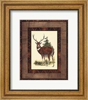 Framed Rustic Deer