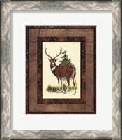 Framed Rustic Deer