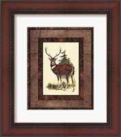 Framed Rustic Deer