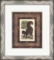 Framed Rustic Squirrel