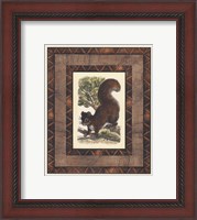 Framed Rustic Squirrel