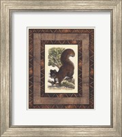 Framed Rustic Squirrel