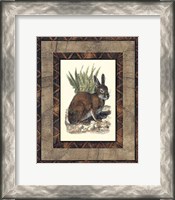 Framed Rustic Rabbit