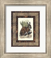 Framed Rustic Rabbit