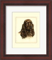 Framed Red Cocker Spaniel