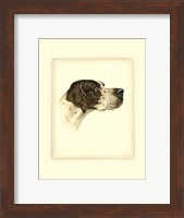 Framed Pointer