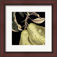 Framed Dramatic Pear