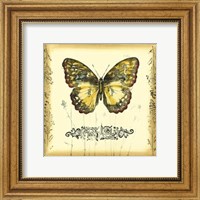 Framed Butterfly and Wildflowers II