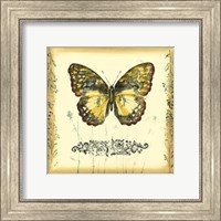 Framed Butterfly and Wildflowers II